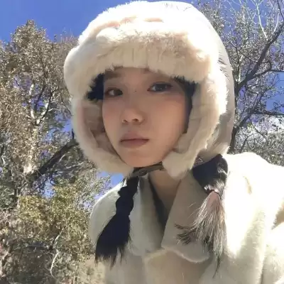公凡梦